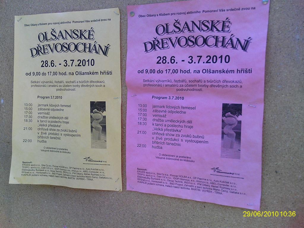 Dřevosochání 2010